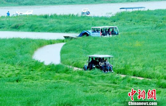 　　2018年4月，雨季来临湖水上涨，在江西上饶市鄱阳县白沙洲乡，游客正乘坐旅游观光车往返于鄱阳湖无念岛和码头接壤的最美“水上公路”上。（资料图，卓忠伟 摄）　卓忠伟　摄
