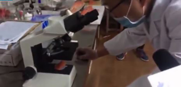 直播中显微镜检测截图