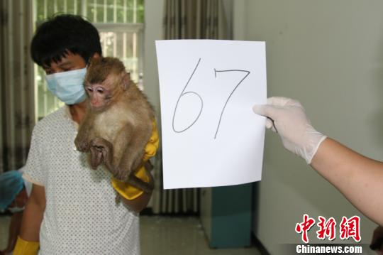  图为警方清点取证 张鑫 摄