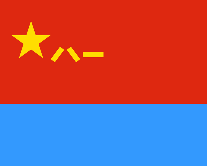 我国历史上各军种的军旗什么样?|老照片