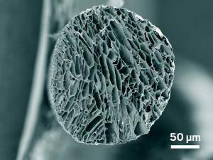 该仿生纤维的横截面 图源：美国化学化工新闻 下同