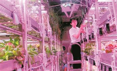 志愿者褚正佩在舱内工作。