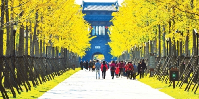 公园改变着扬州人的生活方式 百姓纷纷点赞家