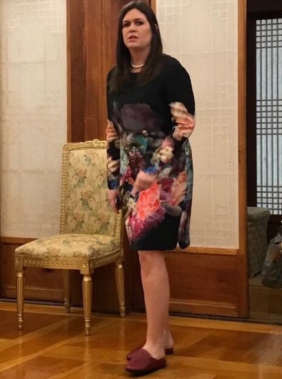 白宫新闻秘书桑德斯（图源：美国在线）