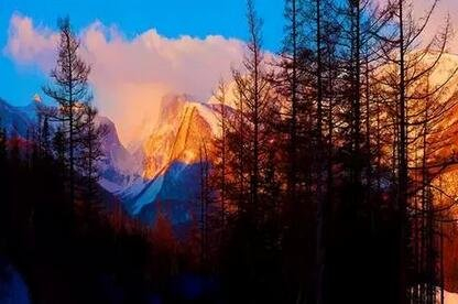 ▲图/“长白山”微信公号