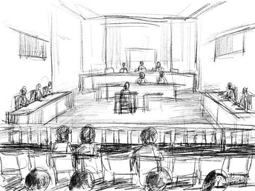 （法庭速写作者：鱼翅）