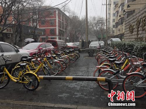 资料图：风雪中的共享单车。中新网 吴涛摄