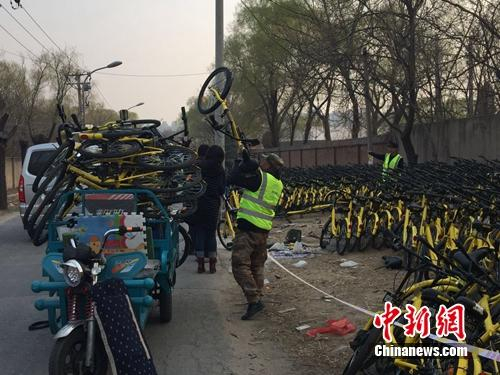 资料图：ofo工作人员在做运维工作。中新网 吴涛 摄