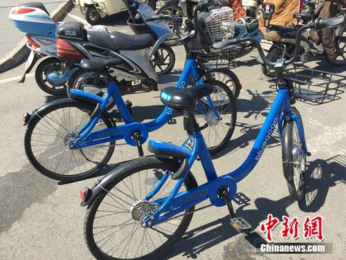 资料图：不断有新共享单车平台进入市场。中新网 吴涛 摄