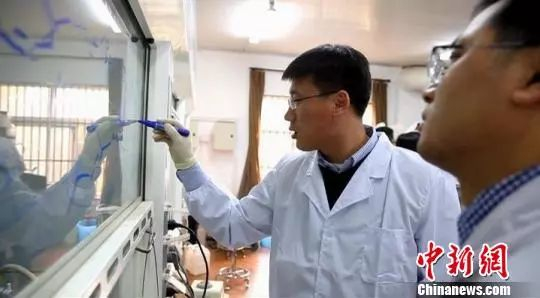 资料图：中科院合肥物质研究院的科学家正在潜心工作。孙策 摄