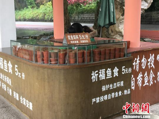 南宁市青秀山风景区内喂鱼点工作人员在售卖鱼饲料。　陈秋霞 摄