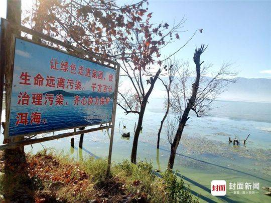 洱海边上挂着治污标语