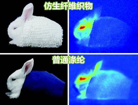 兔子的身体在红外热成像相机中得以“隐身”