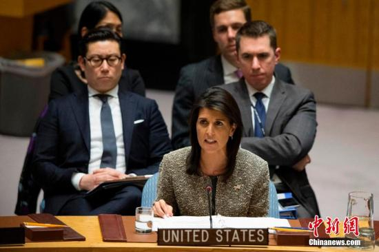 资料图：黑莉在联合国发言。中新社记者 廖攀 摄
