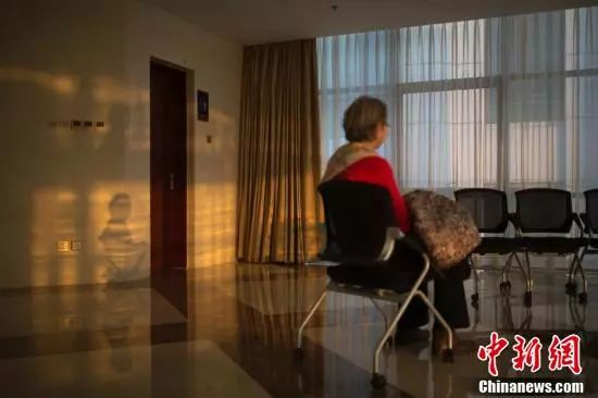 资料图。中新社记者 刘关关 摄