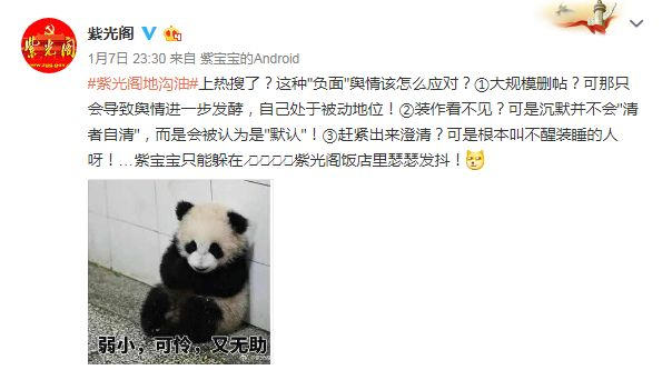 ▲《紫光阁》微博截图