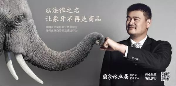 ▲国家林业局宣传海报