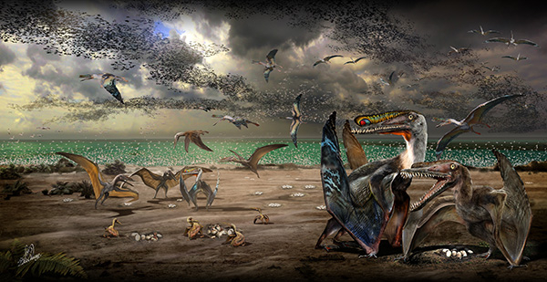 　　复原的哈密翼龙生态图（绘图者：赵闯）。雄性和雌性哈密翼龙都有头饰，即头骨上方的前上颌骨脊。头饰的差异得以区分雄雌，雄性哈密翼龙的头饰更大、更靠前，为图中彩色花纹的部分。