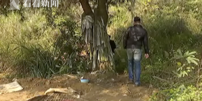 视频|诡异!老人入土安葬四年 后代迁坟不见尸骨