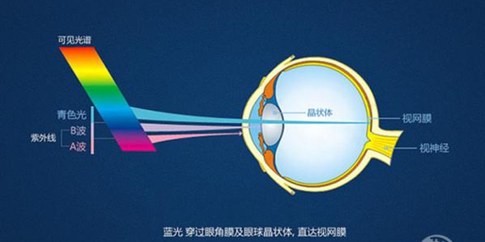 手机防蓝光贴膜到底有用吗?真相在此