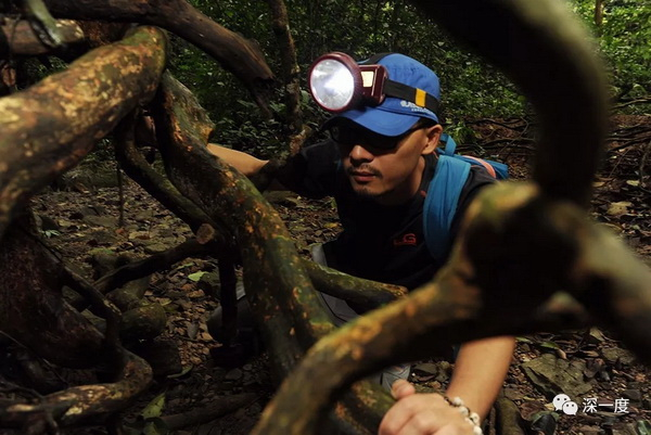 　　国内，一名研究人员正在野外调查穿山甲，很多人认为穿山甲在国内已灭绝，这个说法并不准确。这是华南某保护区，又发现了马来穿山甲，对地点的保密，可以使得这里的穿山甲继续存活。