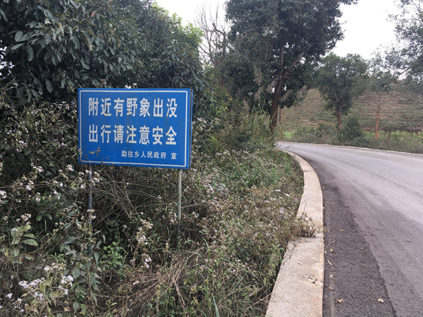 从勐海县城往勐往乡的公路旁，这样的标识牌多处可见，公路也是野象必经的通道。