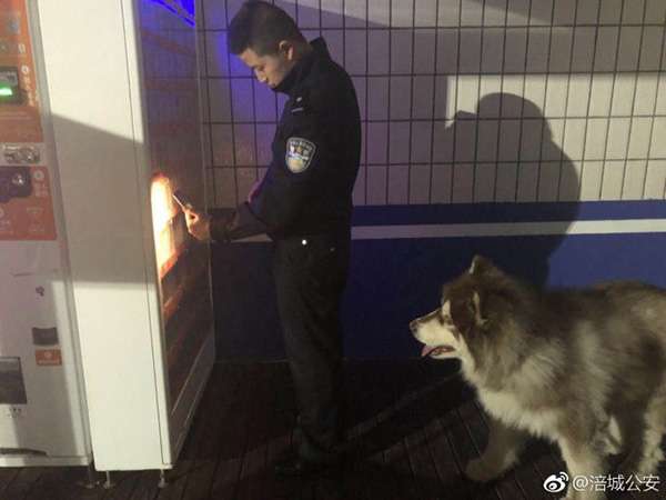 3月5日捡到的阿拉斯加在等民警买东西给它吃。图片来源：@涪城公安