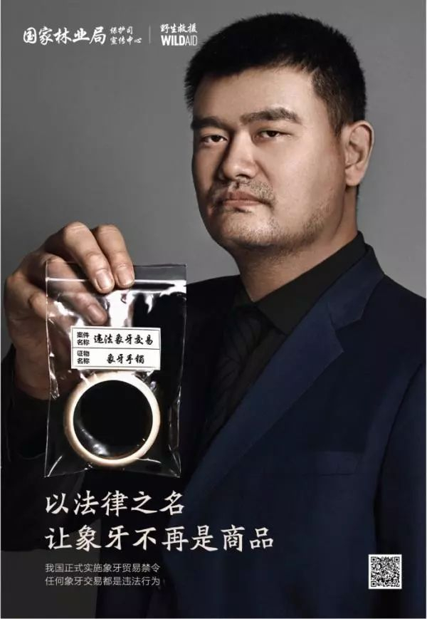 ▲国家林业局宣传海报