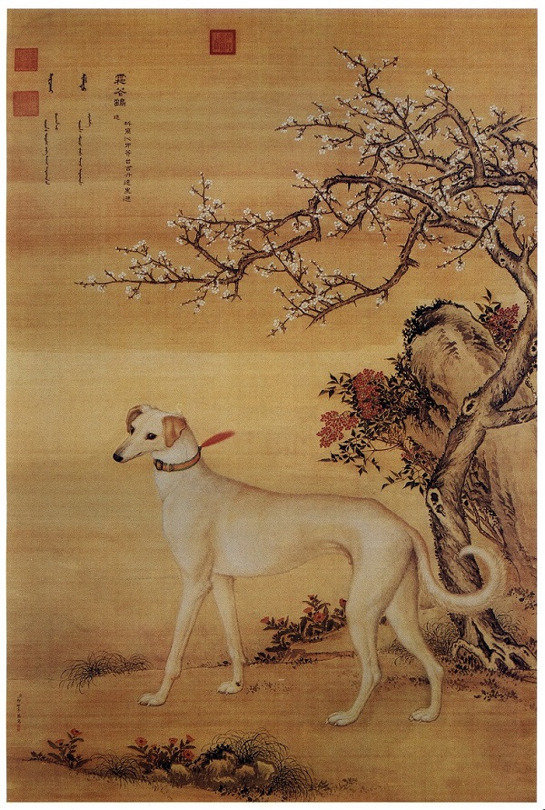 鉴赏｜郎世宁画笔下的中国猎犬_手机新浪网