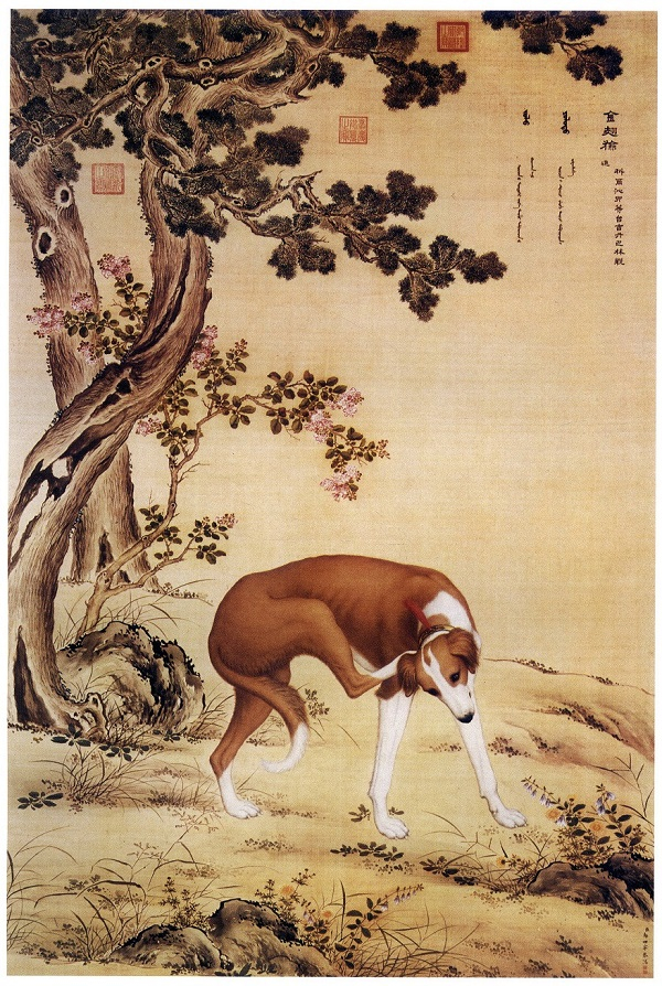 鉴赏｜郎世宁画笔下的中国猎犬_手机新浪网