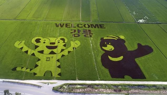 开幕式门票最贵