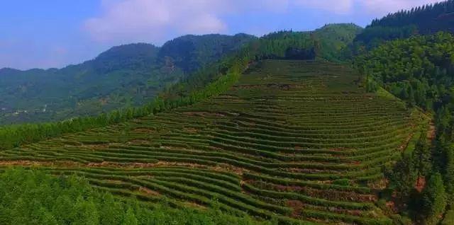 川南人才网_川南旅游攻略最佳线路_川南