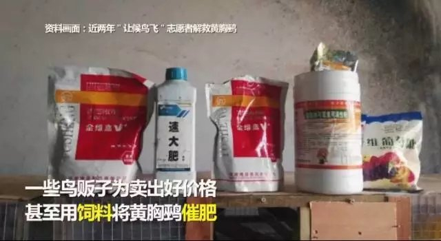  ▲“我们视频”视频截图