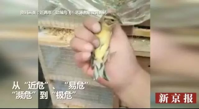  ▲“我们视频”视频截图