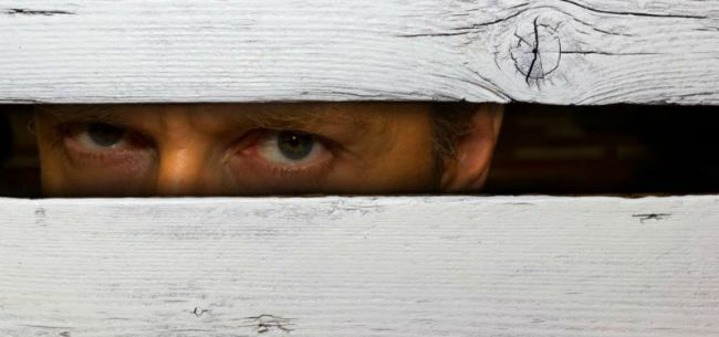 （图片来源：全景视觉）