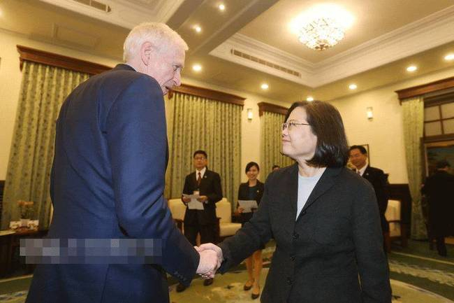 图为蔡英文接见莫健。（图片来源：台湾“中央社”）