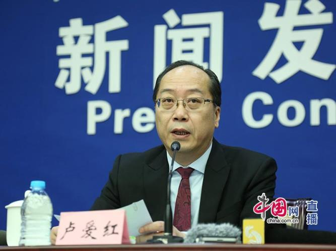 人力资源和社会保障部新闻发言人卢爱红 （中国网 郭天虎摄）