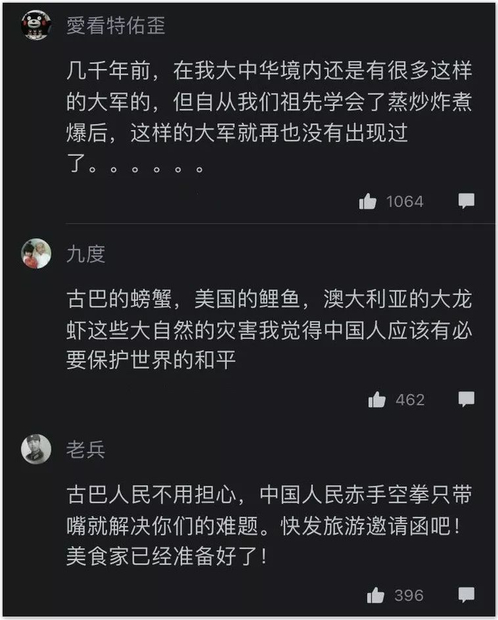 ▲网友评论截图