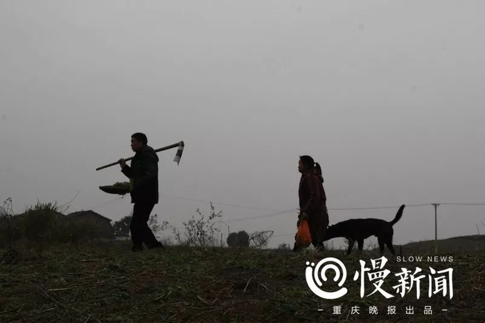 忠诚的黑狗陪伴老两口