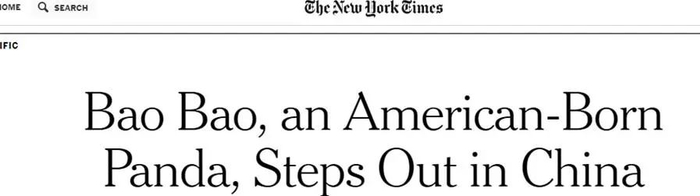 ▲《纽约时报》在“宝宝”回国一个月后刊文报告情况：“宝宝”在中国可以出门了。