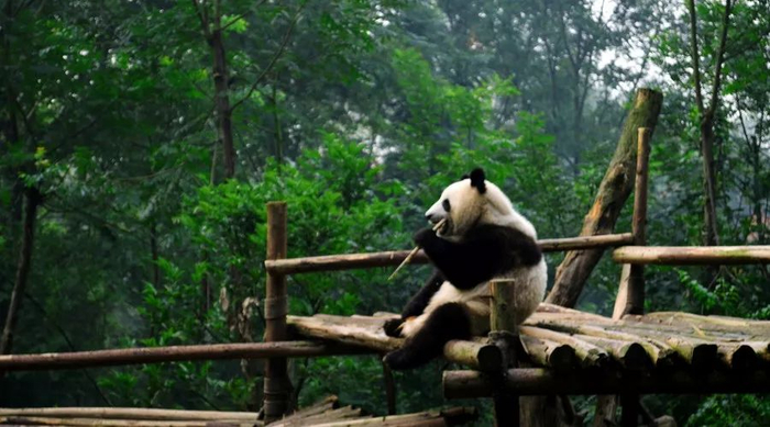  图片来源：摄图网