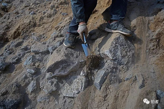 　　△ 2017年12月7日，记者在被称为“垃圾场”的平安镇岗子村撒拉沟大斜坡上，选取了几个点，稍微清除表面的覆土，都能找到覆土下的废阴极炭块。