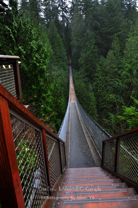 穿过故事中心，走过图腾柱，跨越加拿大几千年的土著历史，眼前的我来到这座伟大的吊桥边。
