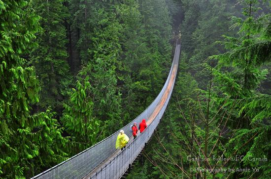 梦入江南 烟水路