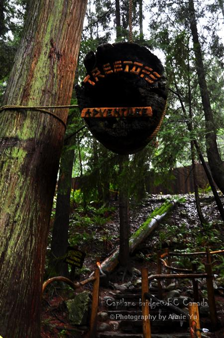 悬浮吊桥似乎并不是唯一令人期待的精彩体验，