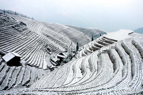 中国十大赏雪圣地之七//龙脊梯田