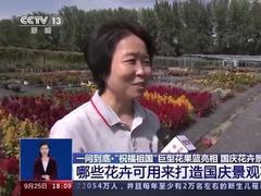 国庆花卉景观是如何打造的?