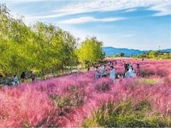国庆游:短途微度假多样化