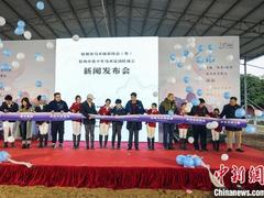 桂林推行马术旅游 为后疫情时代旅游发展提供新动力