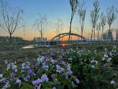 大运河京冀通航明年夏天有望实现